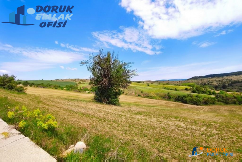 Doruk Emlak Ofisi > DORUK EMLAKTAN YATIRIMLIK YOLA CEPHE 17.670 M2 SATILIK ARAZİSİ